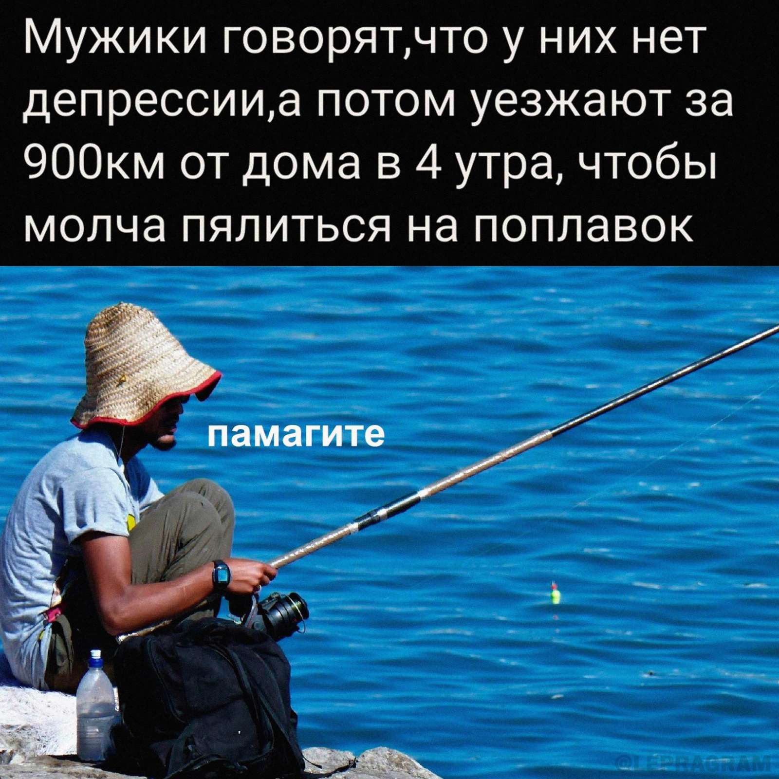 Долгожданный юмор: уморительная подборка Долгожданный юмор: уморительная подборка