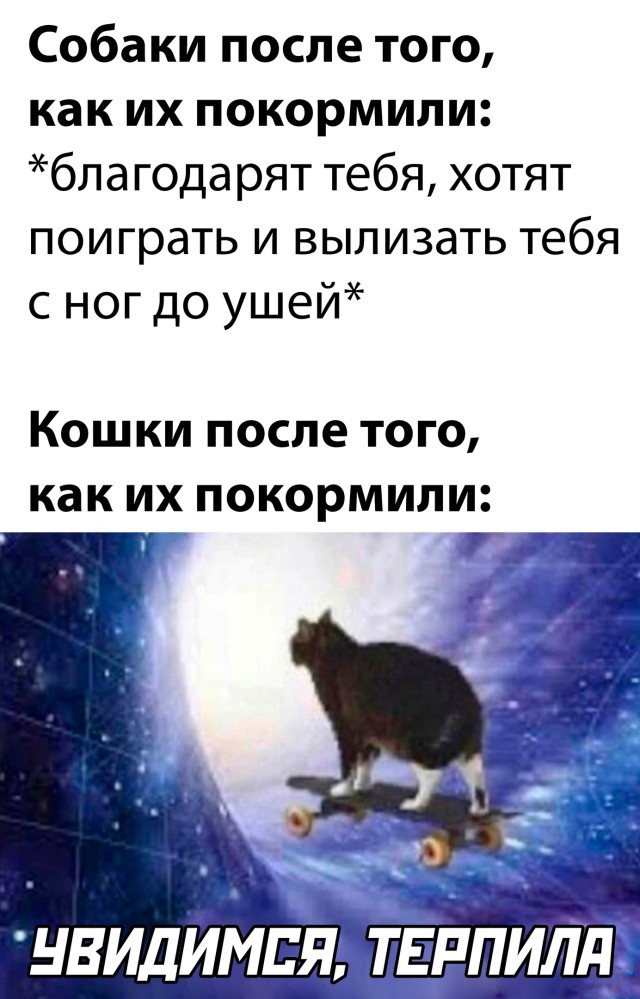 Подборка смешных картинок Подборка смешных картинок приколы,смешные картинки,юмор