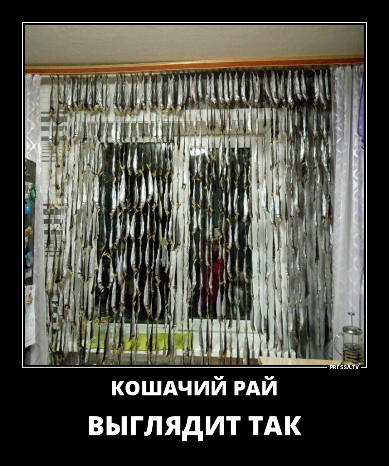 Забавные позитивные демотиваторы о жизни для хорошего настроения Забавные позитивные демотиваторы о жизни для хорошего настроения