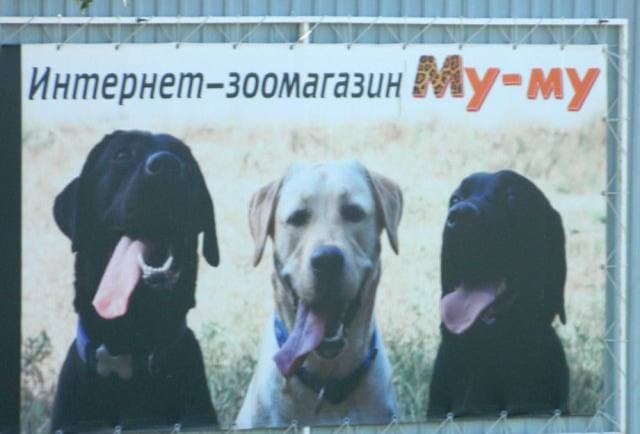 Смешные и странные решения маркетологов  позитив,смешные картинки,юмор