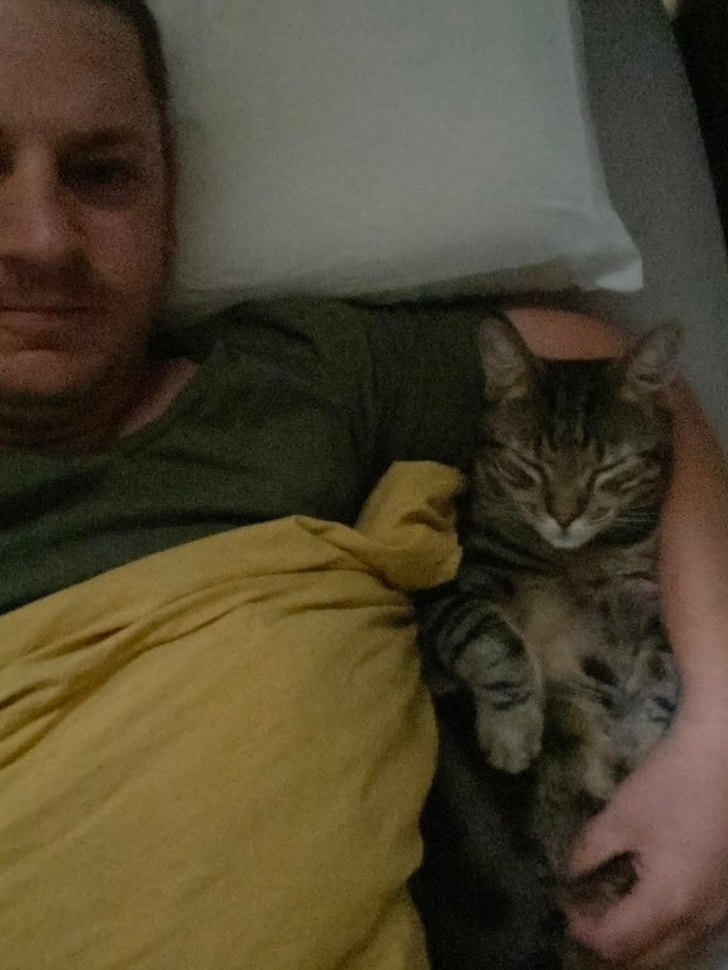 20 домашних зверушек, как источник любви и ласки для всего и всея 20 домашних зверушек, как источник любви и ласки для всего и всея не всё так грустно