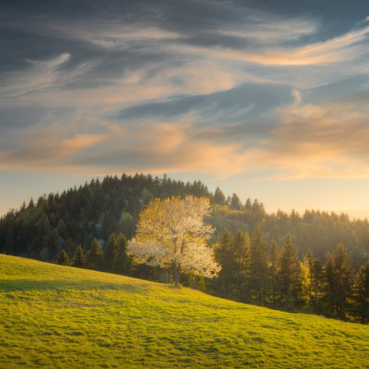 Наша очаровательная планета на снимках словацкого фотографа пейзажи,природа,тревел-фото