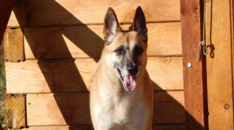 BeFunky-collage (67)