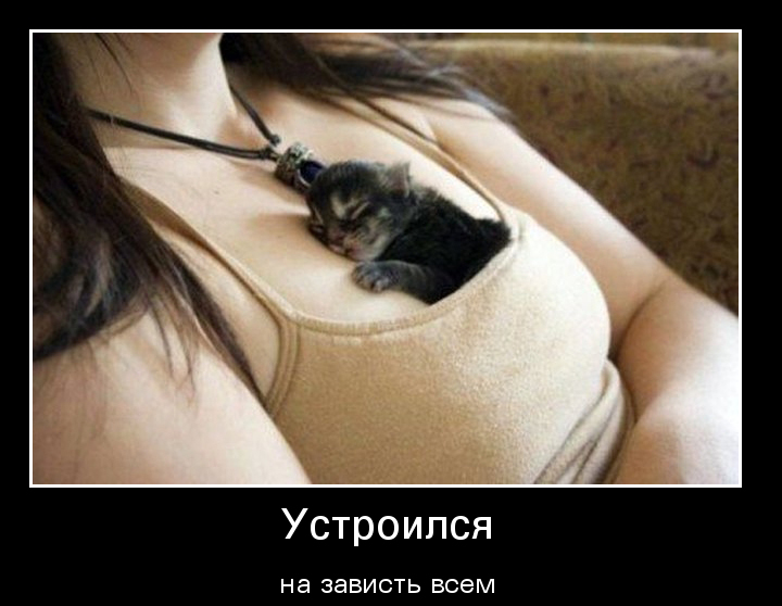 Ржачные, веселые и смешные демотиваторы для хорошего настроения Ржачные, веселые и смешные демотиваторы для хорошего настроения демотиваторы свежие,смешные демотиваторы,юмор