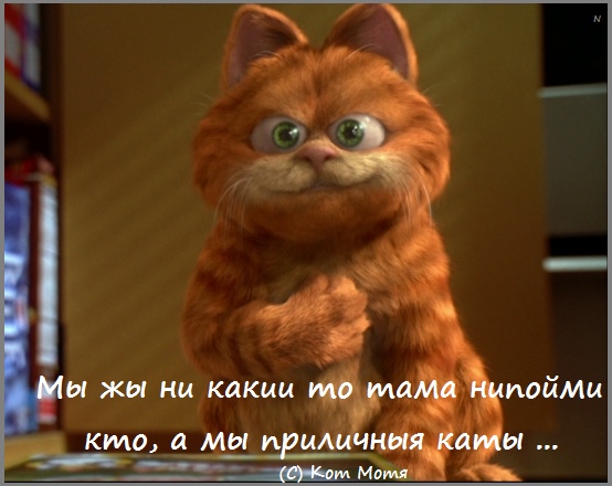Кот Скрипалей спасен Кот Скрипалей спасен