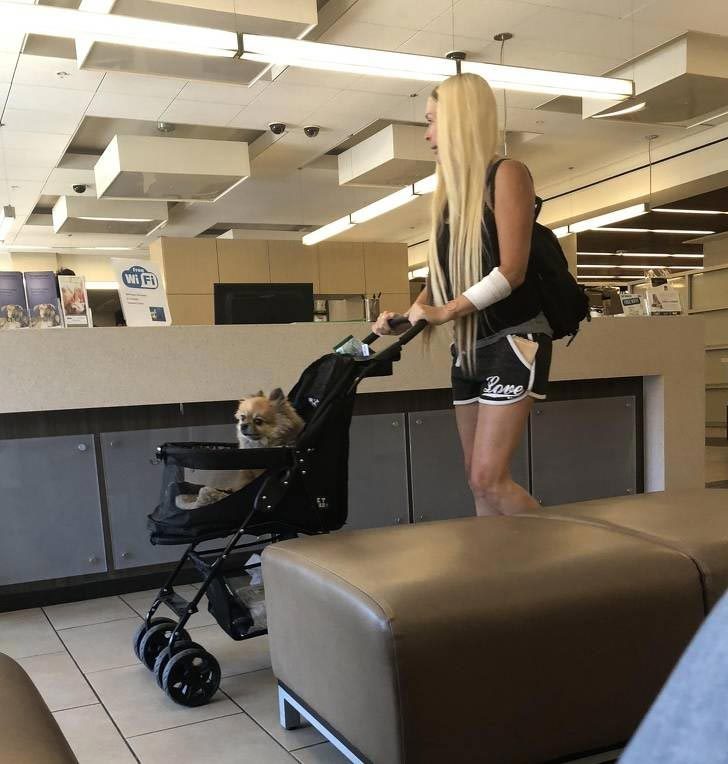 Взрослые — это просто большие дети! Взрослые — это просто большие дети!