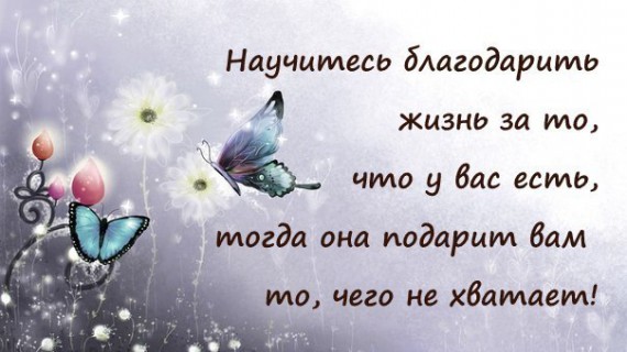 Мудрые мысли в прикольных картинках :) Мудрые мысли в прикольных картинках :)