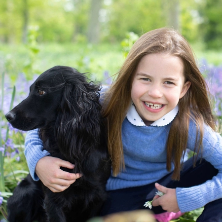 Кейт Миддлтон поделилась новыми фото принцессы Шарлотты по случаю ее 7-летия новые, младший, исполнилось, Незадолго, золотая, принцессаОрлу, герцогам, Кембриджским, подарил, Джеймс, Миддлтон, который, занимается, разведением, собак, жизни, этого, кельтского, предыдущий, любимец