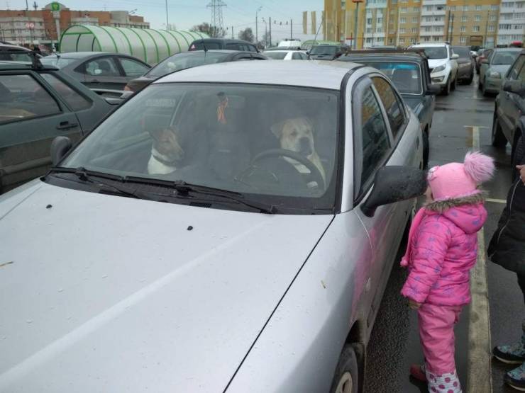 Подборка прикольных картинок Подборка прикольных картинок приколы,смешные картинки,юмор