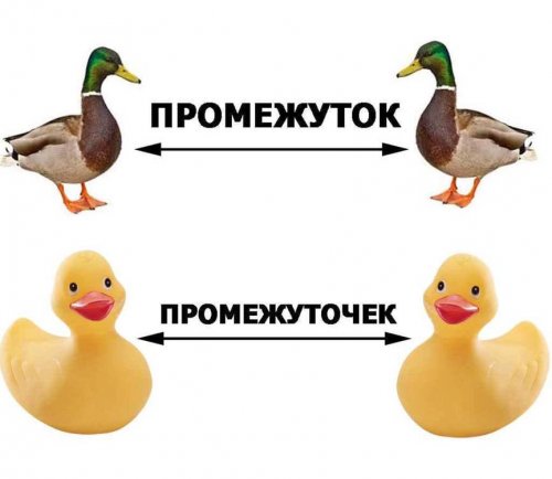 Подходи, налетай, фото-приколы разбирай! 