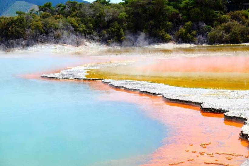 Роторуа в Новой Зеландии: священная долина маори с удивительными кипящими озерами  