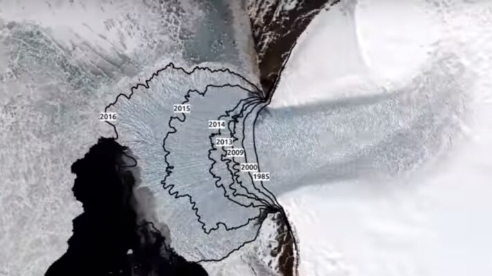 Эколог оценил последствия таяния ледников в Арктики для РФ 