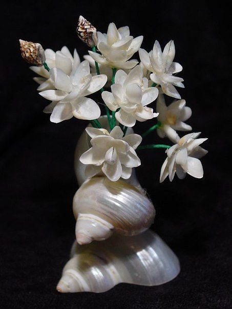 Очередная порция красоты из ракушек. Можно смотреть часами на такое творчество! handmake,поделки своими руками,разное