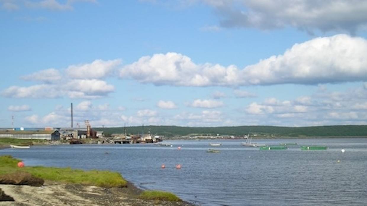 Паромную переправу на Камчатке закрыли из-за резкого снижения уровня воды