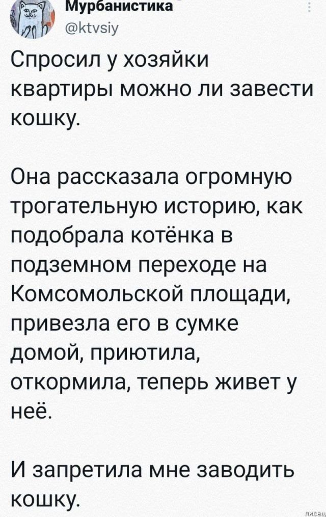 25 прикольчиков декабря из социальных сетей позитив,смешные картинки,юмор