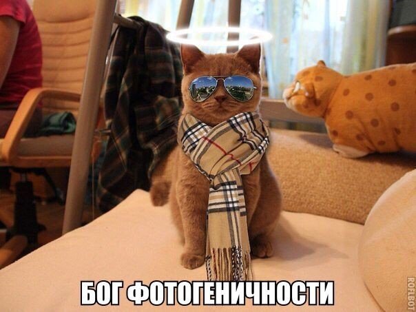 Классные и яркие картинки с фотографиями из сети Классные и яркие картинки с фотографиями из сети