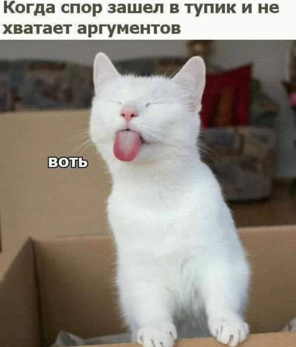 Смешные картинки с надписями и парни с ногами Смешные картинки с надписями и парни с ногами