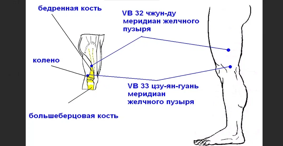 Глубокое укрепление коленных суставов самостоятельно нужно, мышцы, слабость, чтобы, будет, колено, можно, время, стопы, колени, кости, суставов, когда, ходьбе, диафрагма, стельки, больше, коленей, печень, делать