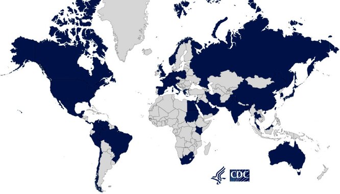 На карте мира синим окрашены страны, где отмечено распространение Candida auris