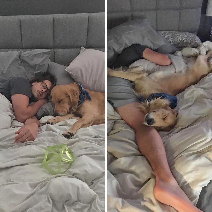 17 забавных сравнений, глядя на которые вы точно почувствуете разницу 17 забавных сравнений, глядя на которые вы точно почувствуете разницу