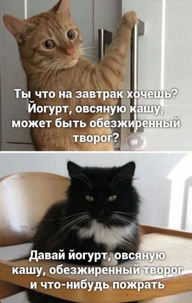 Прикольные мемы для хорошего настроения Прикольные мемы для хорошего настроения