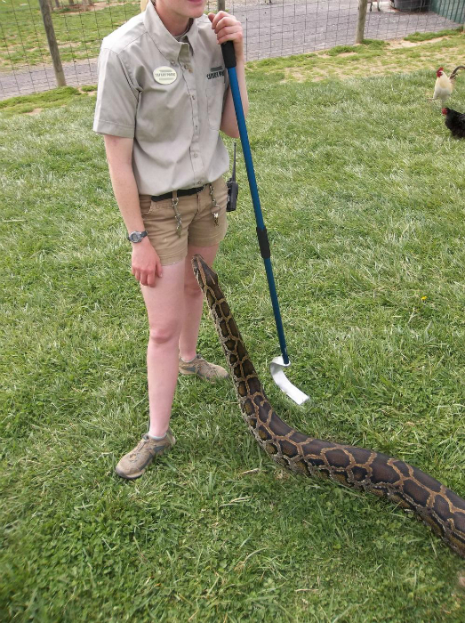 Весьма эпичные ситуации, удачно запечатленных на снимках веселые картинки