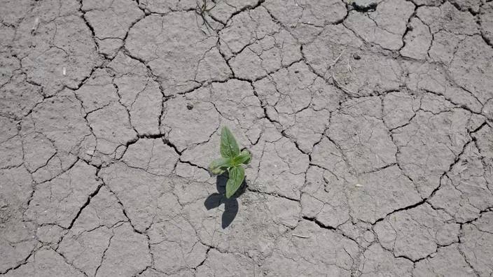 УКРАИНА: НОВОСТИ 31.05.2022 утро геополитика,россия,украина