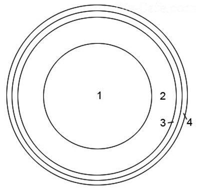 1variant