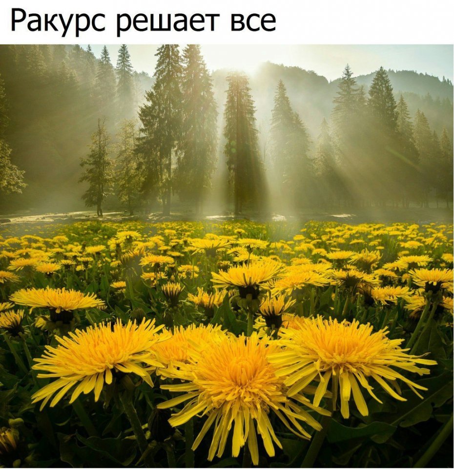 Прикольные и классные картинки из нашей жизни 