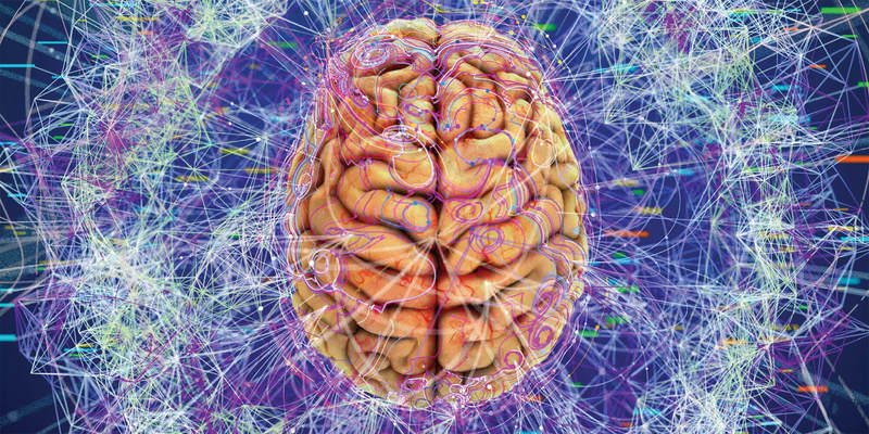 Будущее уже тут! Создать цифровую копию вашего мозга мозга, говорит, может, цифровой, двойник, Neurotwin, чтобы, команда, Руффини, пациентов, лечения, пациента, будет, двойников, которые, модель, цифровых, проекта, компания, двойника