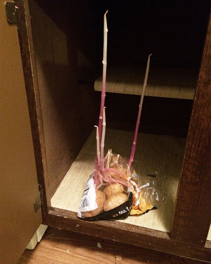 Sooo I Forgot I Had Potatoes