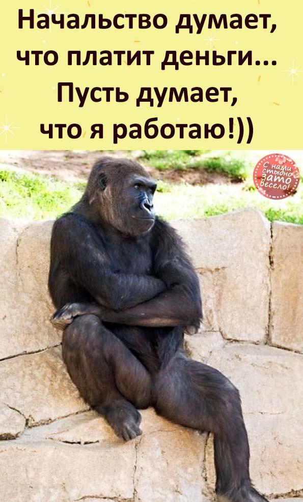 Идёшь с ребёнком на площадку играть: тащишь с этажа велосипед, куклу, формочки… Весёлые,прикольные и забавные фотки и картинки,А так же анекдоты и приятное общение