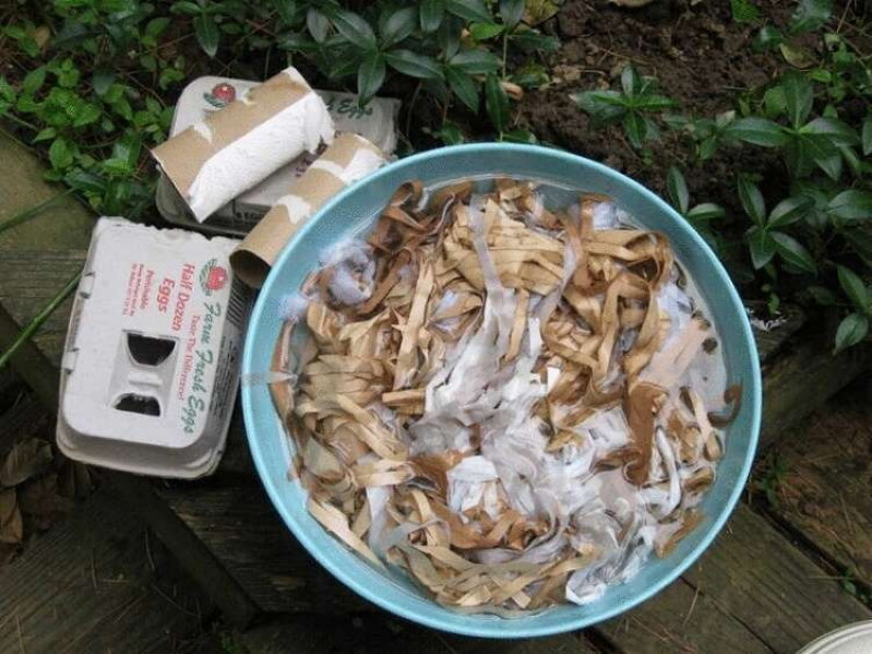 Всё гениальное просто! Лунки для посева: Лук, морковь, редиска взойдут через неделю! Всё гениальное просто! Лунки для посева: Лук, морковь, редиска взойдут через неделю! домашний очаг,идеи для дачи,рукоделие,своими руками,сделай сам