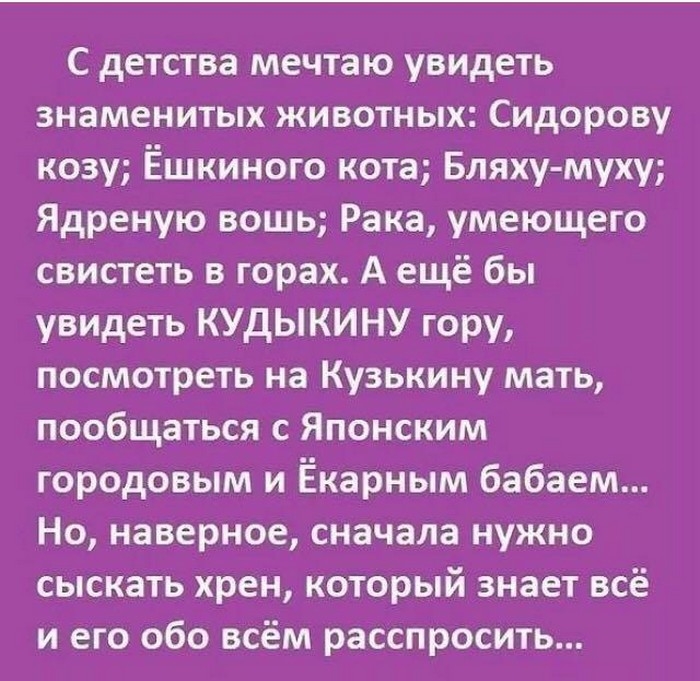 Подборка историй из жизни, которые поднимут настроение на весь день Подборка историй из жизни, которые поднимут настроение на весь день