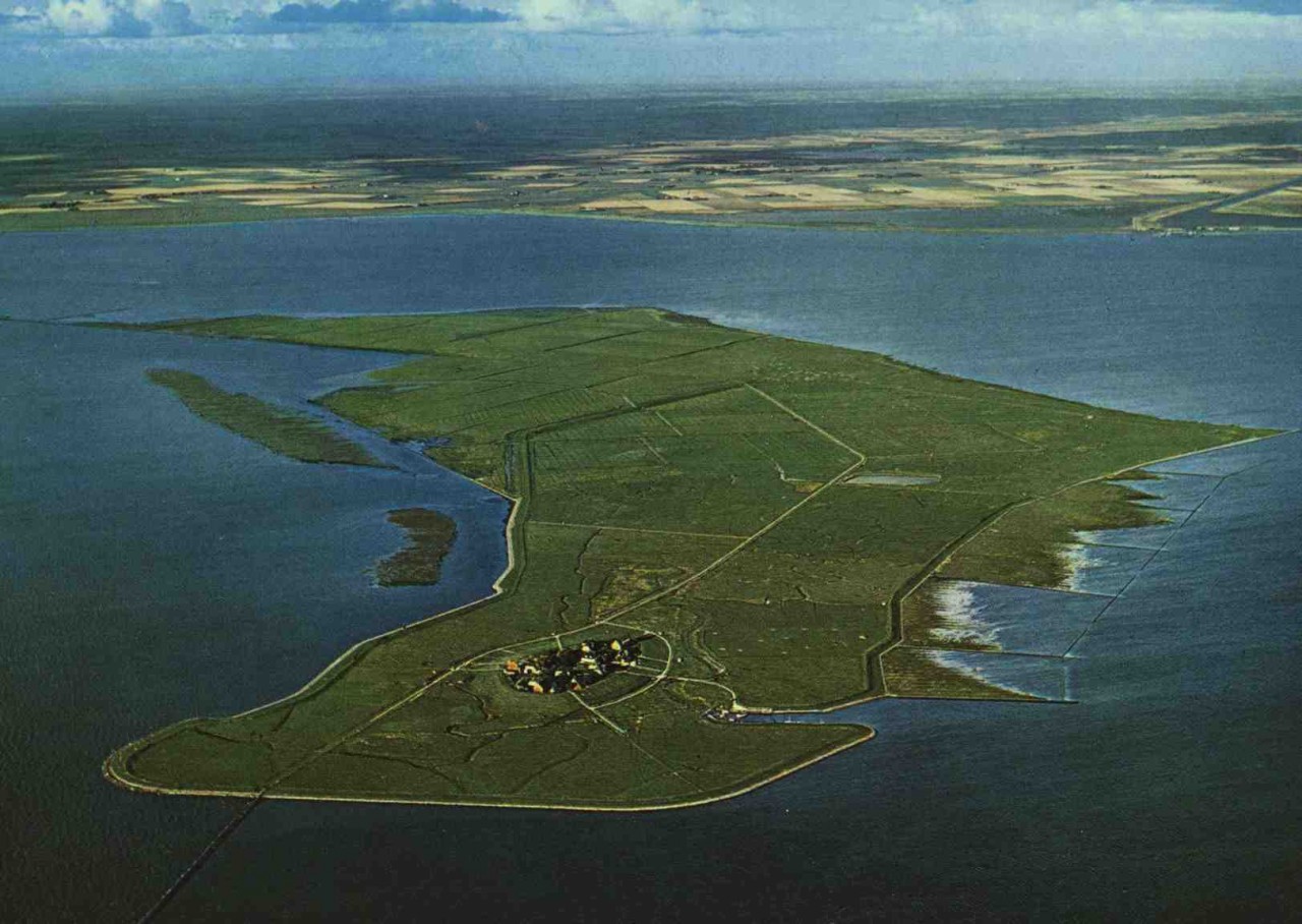 hallig 3