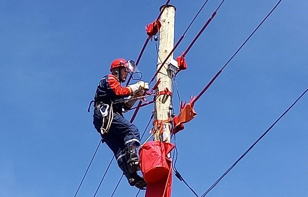 «Россети» завершила в Курской области все этапы подготовки к ОЗП