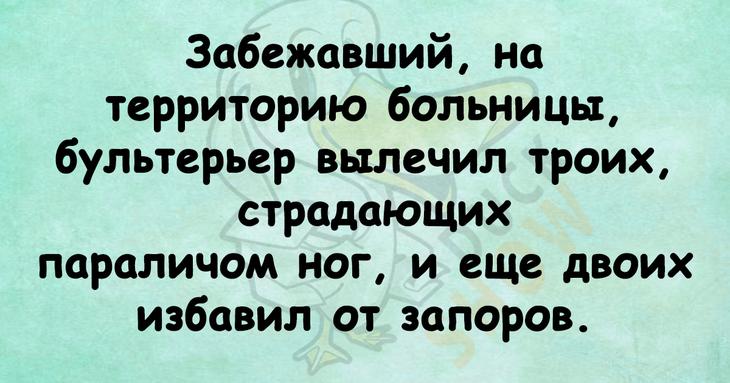 Смех полезен для здоровья: задорные анекдоты в картинках Смех полезен для здоровья: задорные анекдоты в картинках