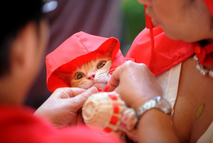 Осеннее настроение Осеннее настроение настроение,осень,позитив,природа