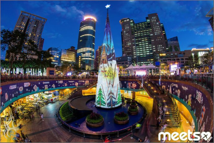 unusual christmas tree