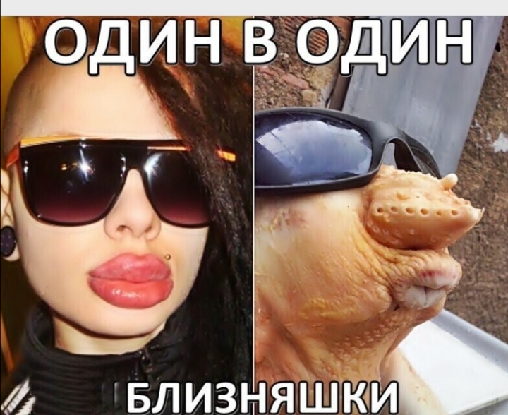 Долгожданный юмор: уморительная подборка Долгожданный юмор: уморительная подборка