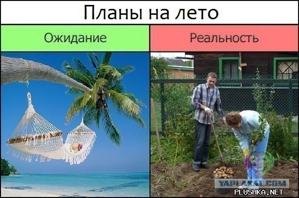 Про, картинки прикольные про отпуск ожидание реальность