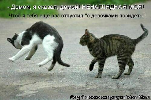 4743317_338898 (500x332, 33Kb)