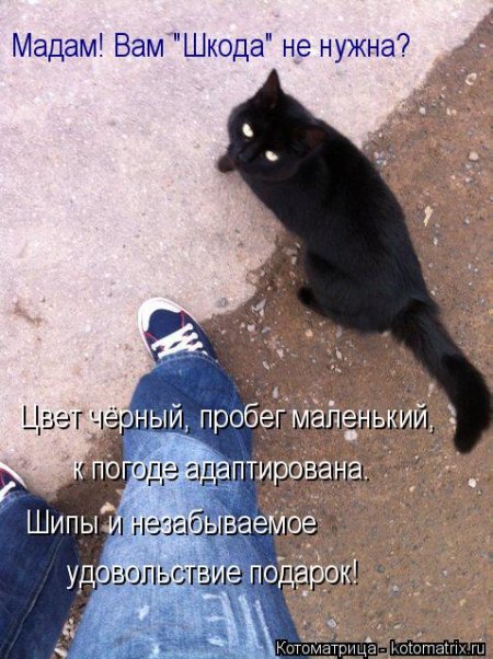 Не только котоматрицы.