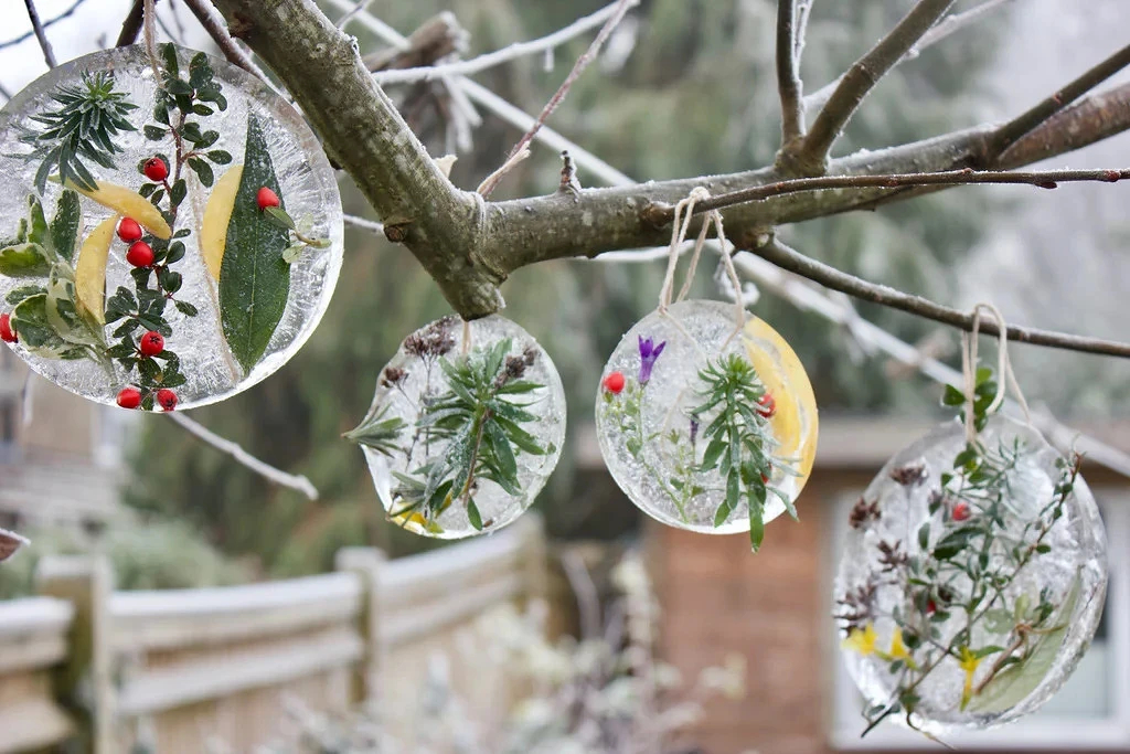 Идея: ледяные новогодние украшения для уличных деревьев декор,мастер-класс