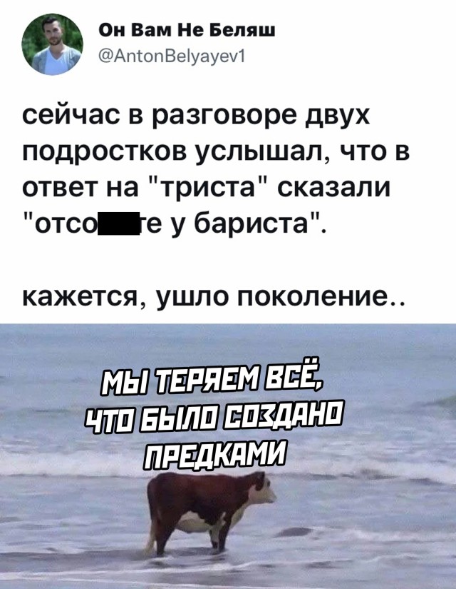 Подборка прикольных картинок Подборка прикольных картинок приколы,смешные картинки,юмор