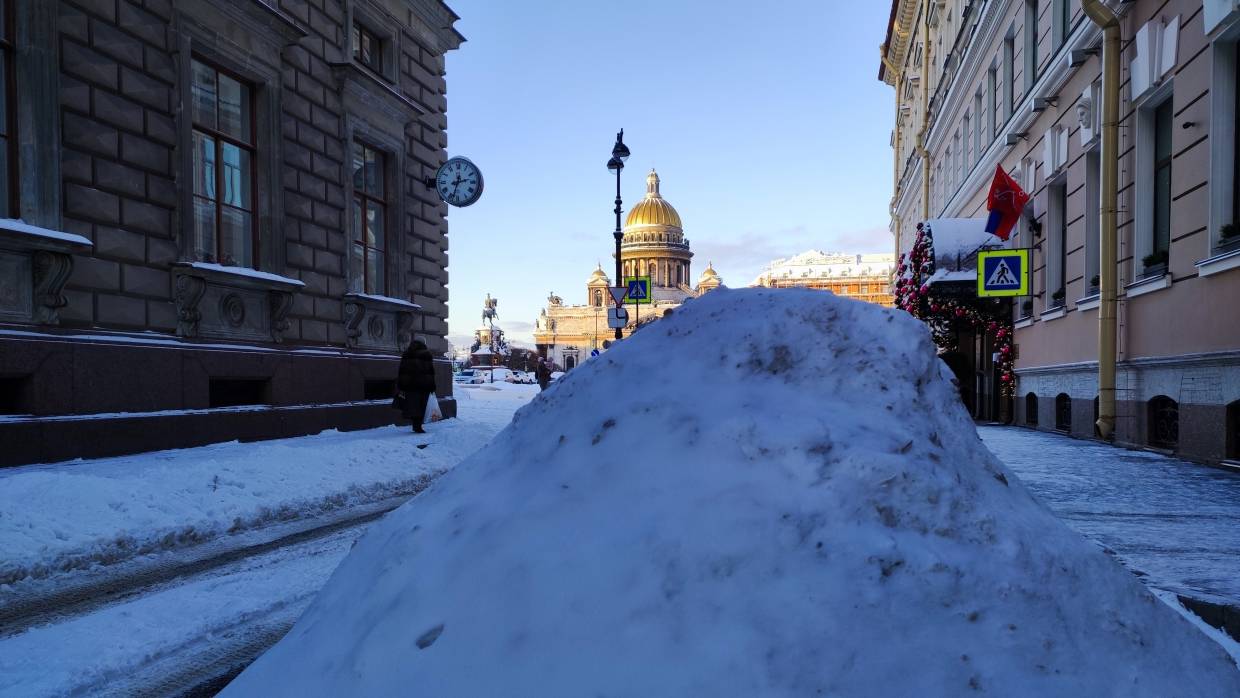 Профессор Гавра призвал власти Петербурга «использовать интеллект» в деле борьбы со снегом