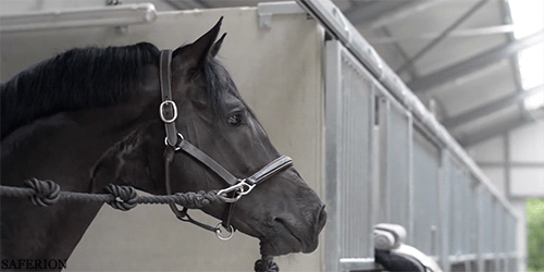 Подборка позитивных и веселых гифок Подборка позитивных и веселых гифок