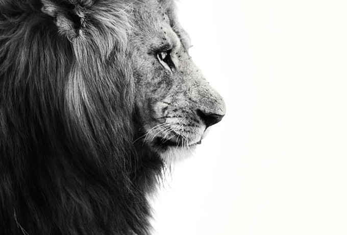 30 причин, почему никто не может жить без Львов