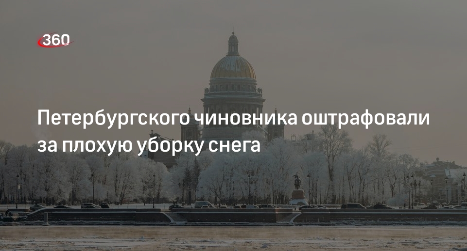 Главу комитета по благоустройству в Петербурге оштрафовали за плохую уборку
