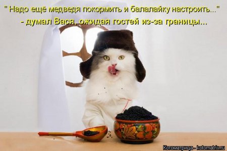 Апрельские котоматрицы